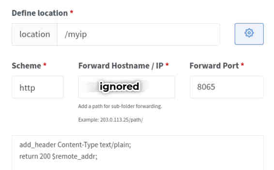 custom location using advanced config ‘return 200 $remote_addr;’
